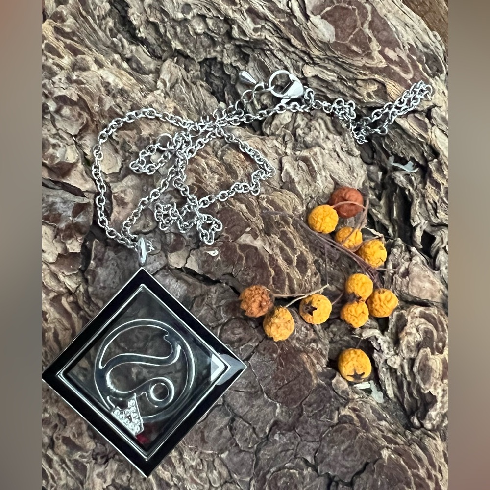 SOUTH HILL Square Black Floating Locket Necklace Charms Leo Zodiac Letter A Red